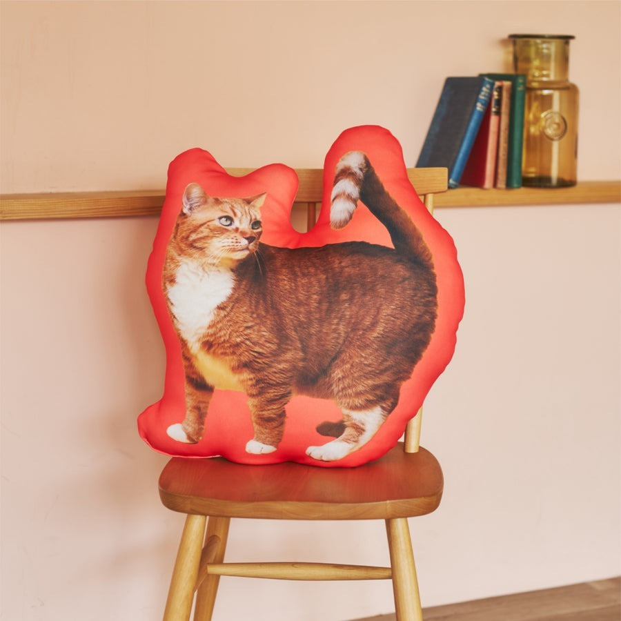 ふちどりシルエットクッション
